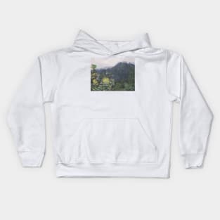 Koolau Ohia Mamo (less saturation) Kids Hoodie